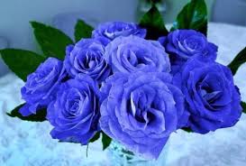 Image result for karangan bunga mawar biru