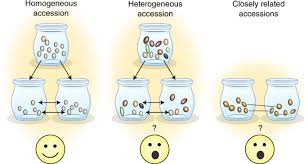 Genebank Genomics Bridges The Gap Between The Conservation Of Crop Diversity And Plant Breeding Nature Genetics
