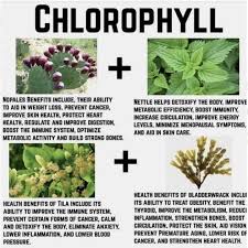 Order These Herbs From Our Web Store Www Veganchoicefoods Com Veganchoicefoods Alkaline Herbal Drsebi Vegan Healthy P Herbs Health Improve Skin Health