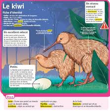 Epingle Par Eva Mladkova Sur Zvirata Animaux Et Oiseaux Animaux Activites Dinosaures