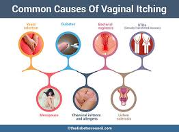 This will lower your risk of. Vaginal Itching Diabetes The Causes Behind Vaginal Itching Thediabetescouncil Com