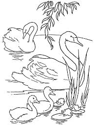 Easy coloring pages for toddlers = simple coloring shapes. Free Printable Swans Coloring Page Fairy Coloring Pages Free Online Coloring Coloring Pages