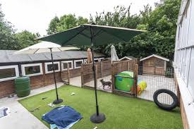 Partners dog training has the best dog boarding because they will never be bored! Dog Boarding Kennels Chessington Epsom Star Boarding Kennels Cattery