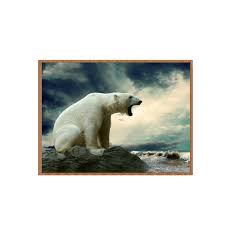 We did not find results for: Buy Diamond Painting Polar Bear Cross Stitch Diamond Diy 5d Embroidery Pattern At Affordable Prices Price 19 Usd Free Shipping Real Reviews With Photos Joom