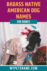 Badass Native American Dog Names In 2020 Native American Dog American Dog Dog Names
