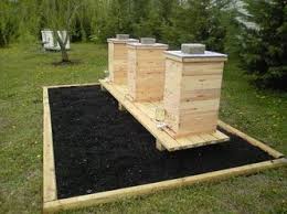 Evans Cedar Bee Hives I Ll Bet Hive Boxes Made Out Of Cedar Would Be Such A Great Way To Combat Wax Moths During Storage Backyard Bee Bee Hive Stand Bee Farm
