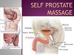 11,665,088 • last week added: Male Self Massage To Orgasm