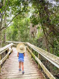 About 30 miles west of downtown miami and a world away from flashy south beach, the everglades national park is the largest subtropical wetland in the u.s. The Best Of Everglades National Park With Kids Big Brave Nomad
