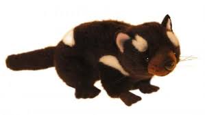 Pin On Tasmanian Devil