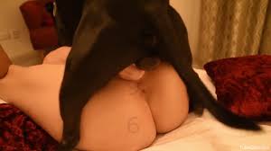 Special treat in home zoophilia for a curvy babe with nice ass