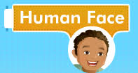 During the course of evolution from the prehuman australopithecus to modern humans (homo sapiens), the face became smaller in relation to the overall size of the head. Human Body Parts Human Face Video Turtle Diary