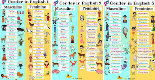 Gender Of Nouns Useful Masculine And Feminine List 7 E S L
