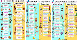 gender of nouns useful masculine and feminine list 7 e s l