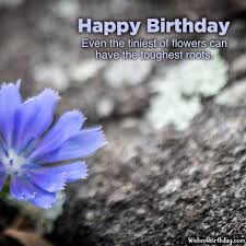 Birthday flowers for her images. Most Delighted And Birthday Flower Gifts For Her Happy Birthday Wishes Memes Sms Greeting Ecard