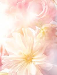 We did not find results for: Pink Flower Background