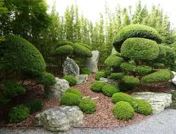 We did not find results for: Traditioneller Japanischer Garten Gestaltung