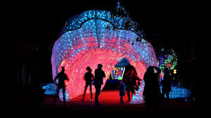 ʒaʁdɛ̃ dɛ plɑ̃t də paʁi) when distinguished from other jardins des plantes in other cities, is the main botanical garden in france. Especes En Voie D Illumination Youtube