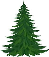Tubes Noel Sapins Et Branches Illustration Noel Noel Fond De Noel