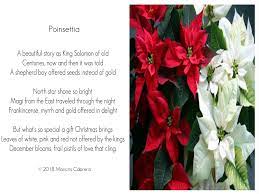 Pin By Maricris On My Poems What Is Christmas North Star Beautiful Stories