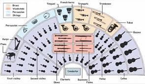 Orchestra Infographic Instruments Of The Orchestra Reason