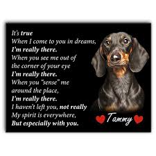 Pet portrait custom and personalized. Profession Portraits Personalized Portrait Custom Profession Pet Portrait The Female Professor Portrait Mother S Day Gifts Digital Art Collectibles Lifepharmafze Com
