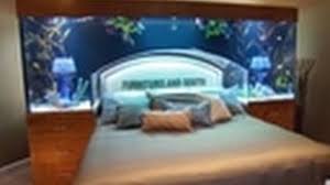 Thinking about adding an aquarium sump to your display tank? Incredible Bed Frame Tank Tanked Youtube