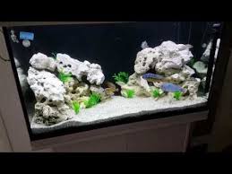 2630 Painted Background Aquarium Black Fish Vlog 17 Youtube Aquarium Fish Tank Themes Aquarium Backgrounds