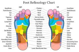 I Slept With An Onion In My Sock And This Is What Happened Reflexology Foot Chart Reflexology Chart Foot Reflexology