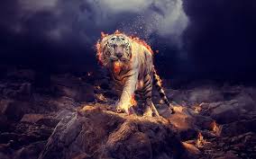 Art Tigre Voyage Onirique Art Tigre Art Graphique Fond D Ecran Art