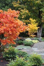 Great Garden Combo Fall Foliage With A Contemporary Twist Autumn Garden Garden Design Contemporary Landscape