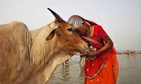 Hindu tak sembelih lembu tapi pancung. Uthaya Sankar Sb 15 Sebab Orang Hindu Tidak Makan Lembu
