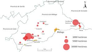 Jun 13, 2021 · la guardia civil potencia los servicios preventivos y de investigación en materia de incendios forestales durante el 2020 hubo 13 detenidos como presuntos responsables de este tipo de delito. Medio Siglo De Grandes Incendios Forestales En Andalucia 1961 2011