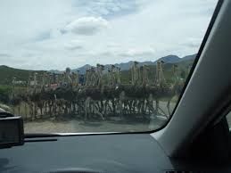 13862_374375275432_821375432_10156539_6490796_n