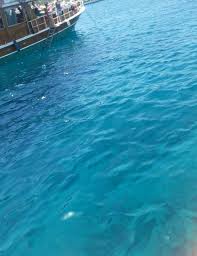 Akvaryum Koyu Bodrum Akvaryum