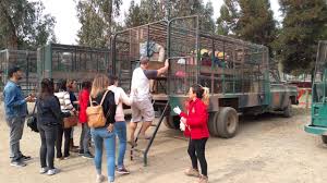 Maybe you would like to learn more about one of these? Parque Safari Vale A Pena Ir Neste Post Te Contamos