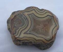 Image result for Colorado Agate 1956 Wayne Works