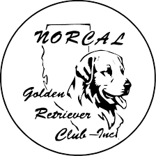 You will fill out an application. Norcal Golden Retriever Rescue Home Facebook