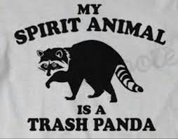 Pin By Daan Martin On Raccoons Trash Panda My Spirit Animal Spirit Animal
