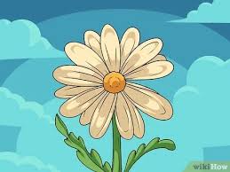 Just like a snowflake, every rose is different. 9 Ways To Draw A Flower Wikihow
