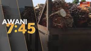 Namun jika di tarik dalam rentan waktu 1 tahun harga ayam potong terus. Harga Sawit Boleh Cecah Rm3 200 Satu Tan Youtube