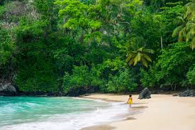 A guide to the people, politics and culture. The Dominican Republic S Saman Aacute Peninsula Offers A Quieter Alternative To Punta Cana Travel Leisure