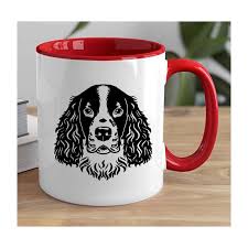 Image result for americký vodní španěl