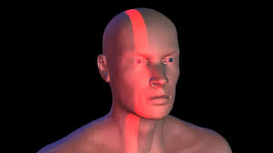 Face recognition , biometric verification and scanning ray, light beam