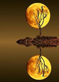 c j tipado on twitter beautiful moon shoot the moon art