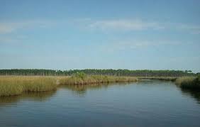 Best hiking trails in grand bay national wildlife refuge. Grand Bay National Wildlife Refuge Moss Point Ticket Price Timings Address Triphobo