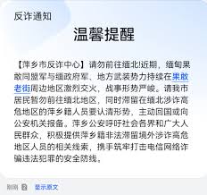 缅北电信网络诈骗- 维基百科，自由的百科全书