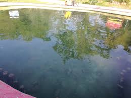 Tiada pendidikan khas integrasi (ppki) : Kolam Air Panas Batu 16 Dusun Tua Hulu Langat Selangor Malaysia Syafierayamin Com Beauty Blogger Malaysia