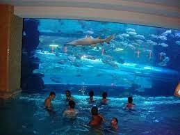 Golden Nugget Las Vegas Nv Yep That Really Is A Shark Tank With A Slide Through The Middle Las Vegas Pool Golden Nugget Hotel Las Vegas Hotel Pool