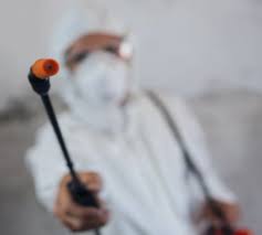 Pest control pensacola fl has all the necessary skills and training for excellent and reliable pest control services. Top 5 Reasons For Pest Control In Pensacola