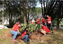 An overview of corporate social responsibility in 2020, companies with model initiatives, and the importance of csr during the coronavirus pandemic. Corporate Social Responsibility Canon Malaysia